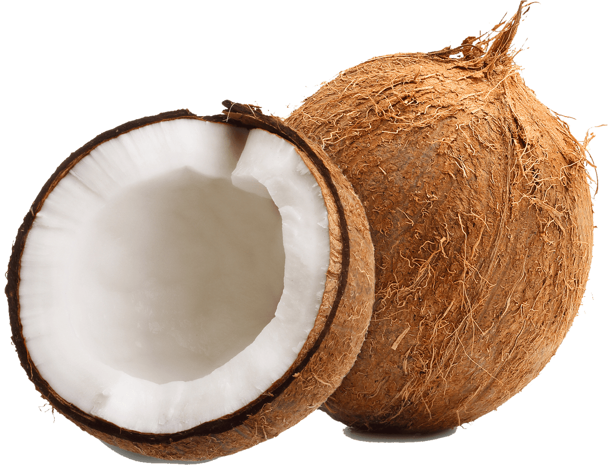 පොල් ගෙඩි Tropical Fresh Coconut 1x